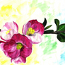 Blossom Spray