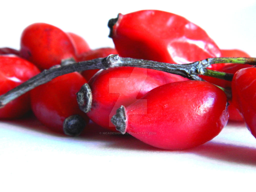 Rose Hip Berries