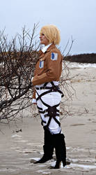 SnK- Armin Arlert