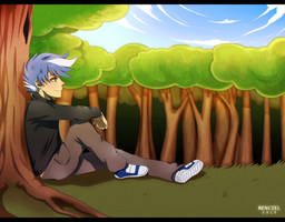 Commish Cz Fin By Renciel