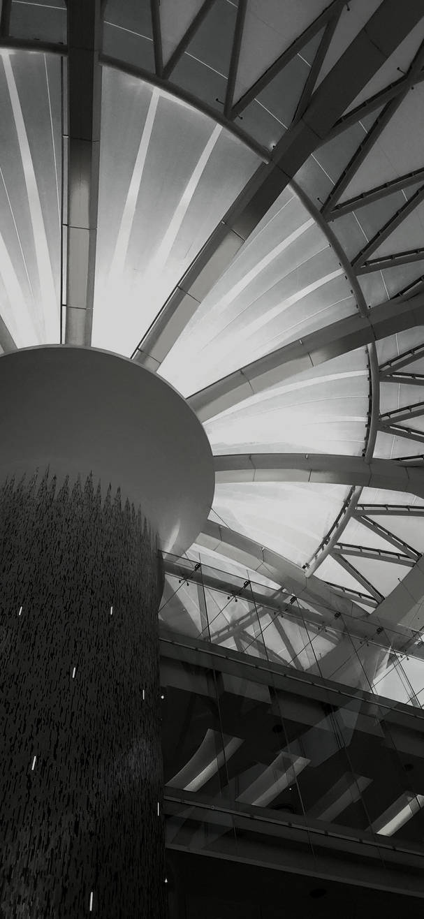 Pictober2024: Curve by Alyssum171 on DeviantArt