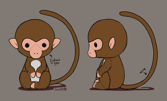 Monkey Concept