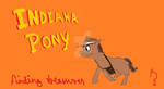 Indiana Pony by NightMoon-Kiwi