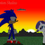 Sonic and Rarity - Sunset