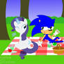 Sonic and Rarity - Picnic (2021 DRV)