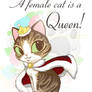 A female cat is a Queen
