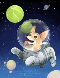 Corgi in Space