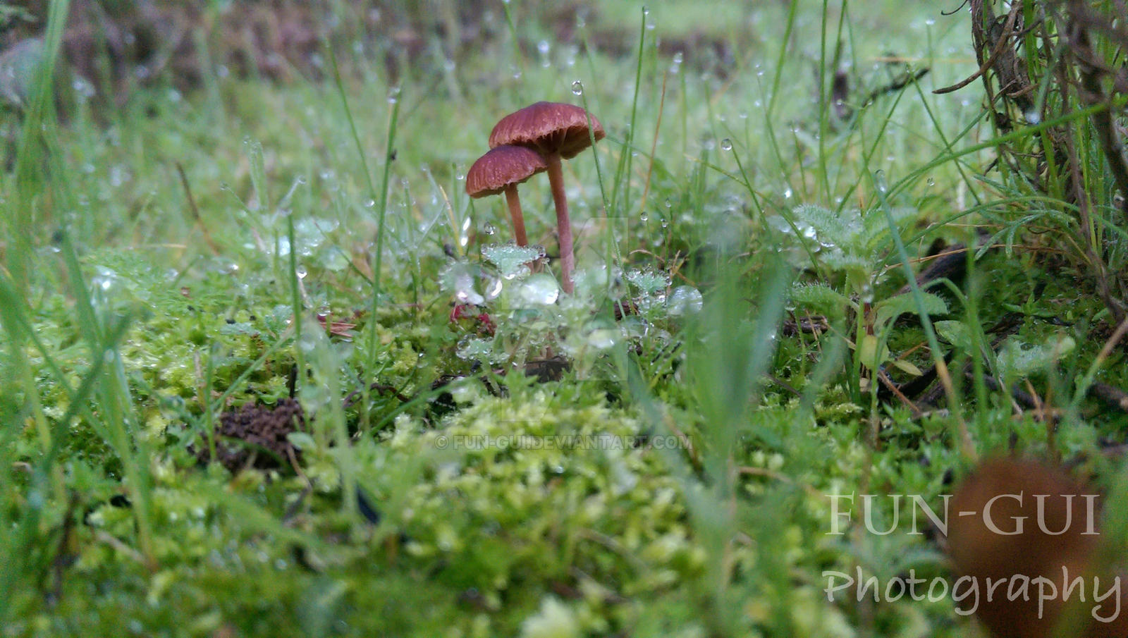 Couple by Fun-Gui on DeviantArt