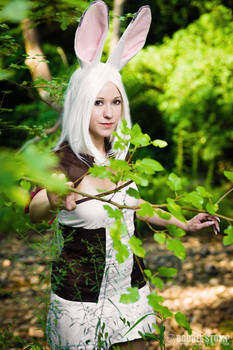 FFXII - Through the woods