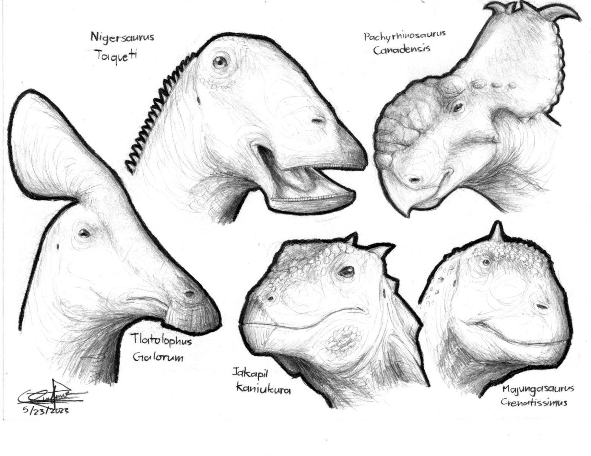 Dinopithecus Deviantart Dino Drawings 2 by JQarts on DeviantArt