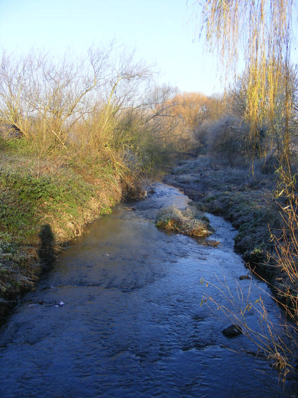 River II