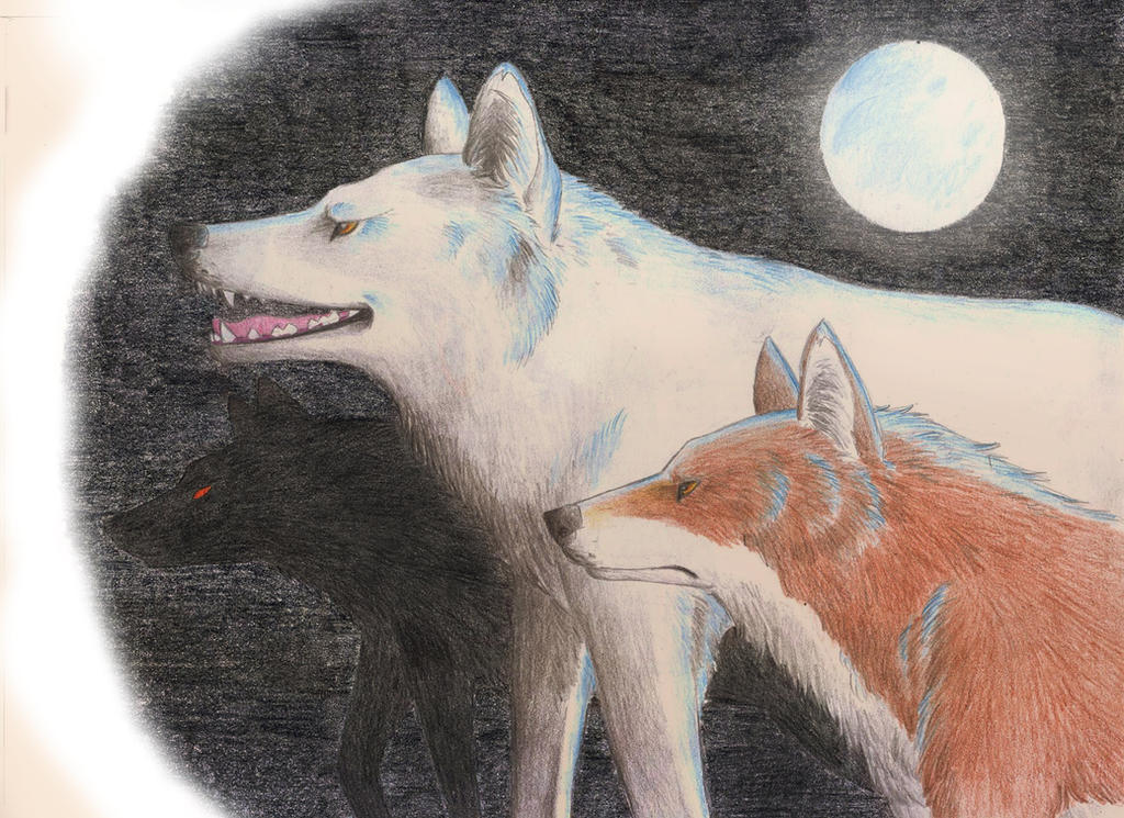 Cd Rudd Deviantart Wolfpack The Wolf Pack by DarkmoonX-1Yb on DeviantArt