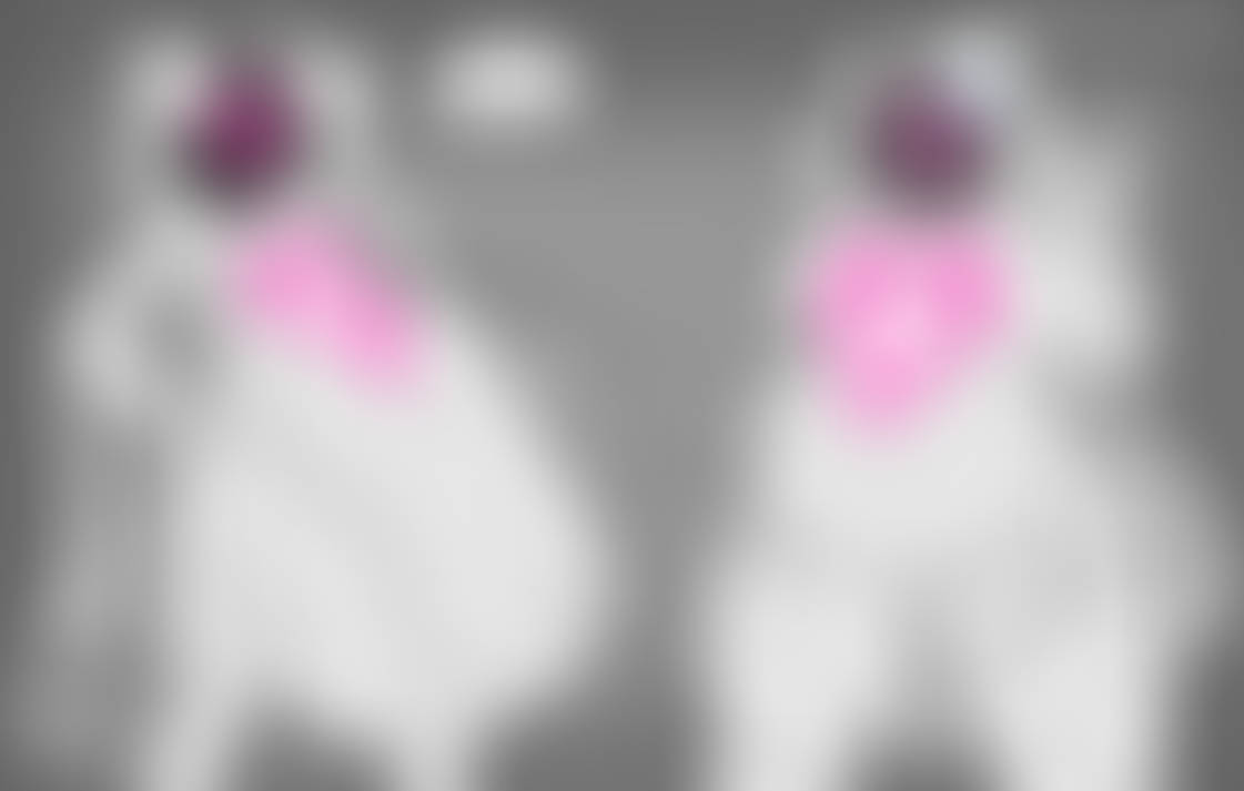 Bear Gaming by Vlumpy on DeviantArt