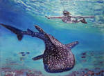 Whale shark sanctuary by Dennis64