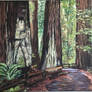 Cathedral Grove