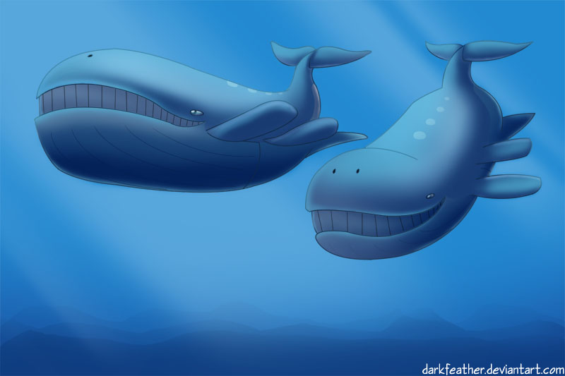 Pair of Wailord