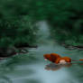 The Stream at Tak Lan