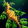 Leafy Seadragon