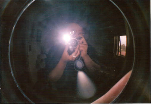 The Lomographer