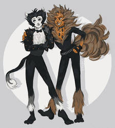 jellicle cats.