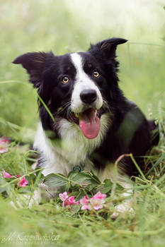 Real men like pink flowers :)