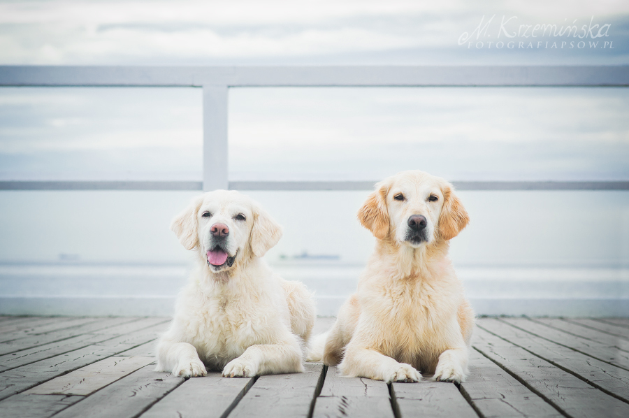 Two golden ladies