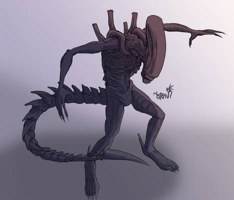 Xenomorph