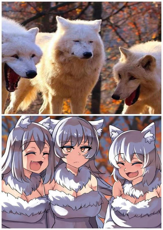 Animation Wolves Meme wolves meme by juantf2dremurr on DeviantArt