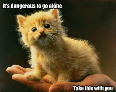 It's dangerous to go alone...