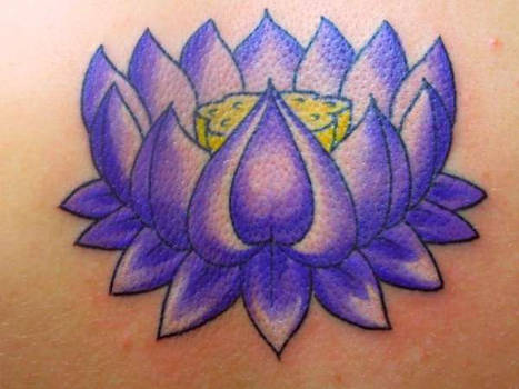 Lotus