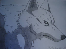 Kiba wolf form