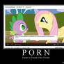 Pony Porn
