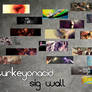 Sig Wall