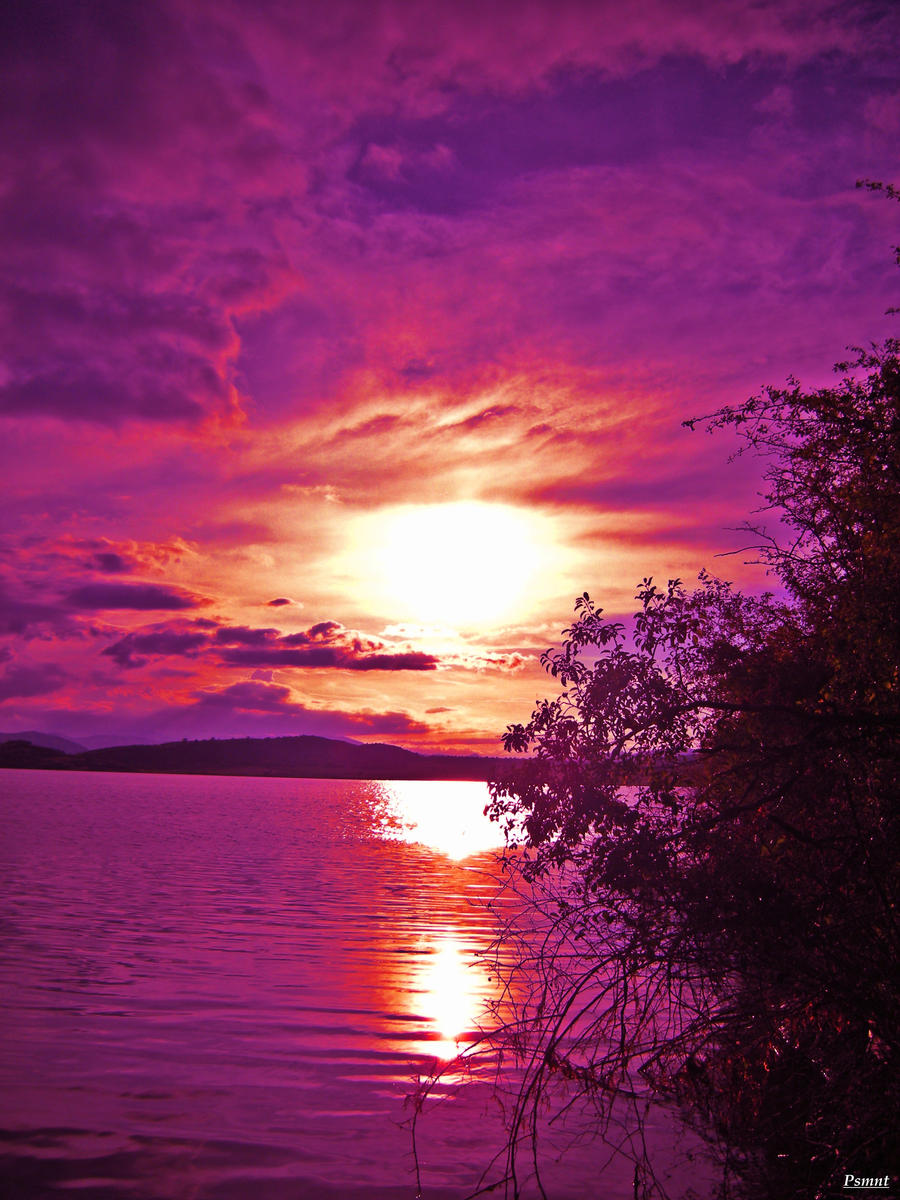 Purple sunset