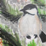 Chickadee