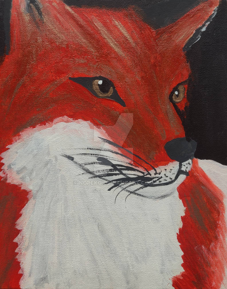 Red Fox by noreko on DeviantArt