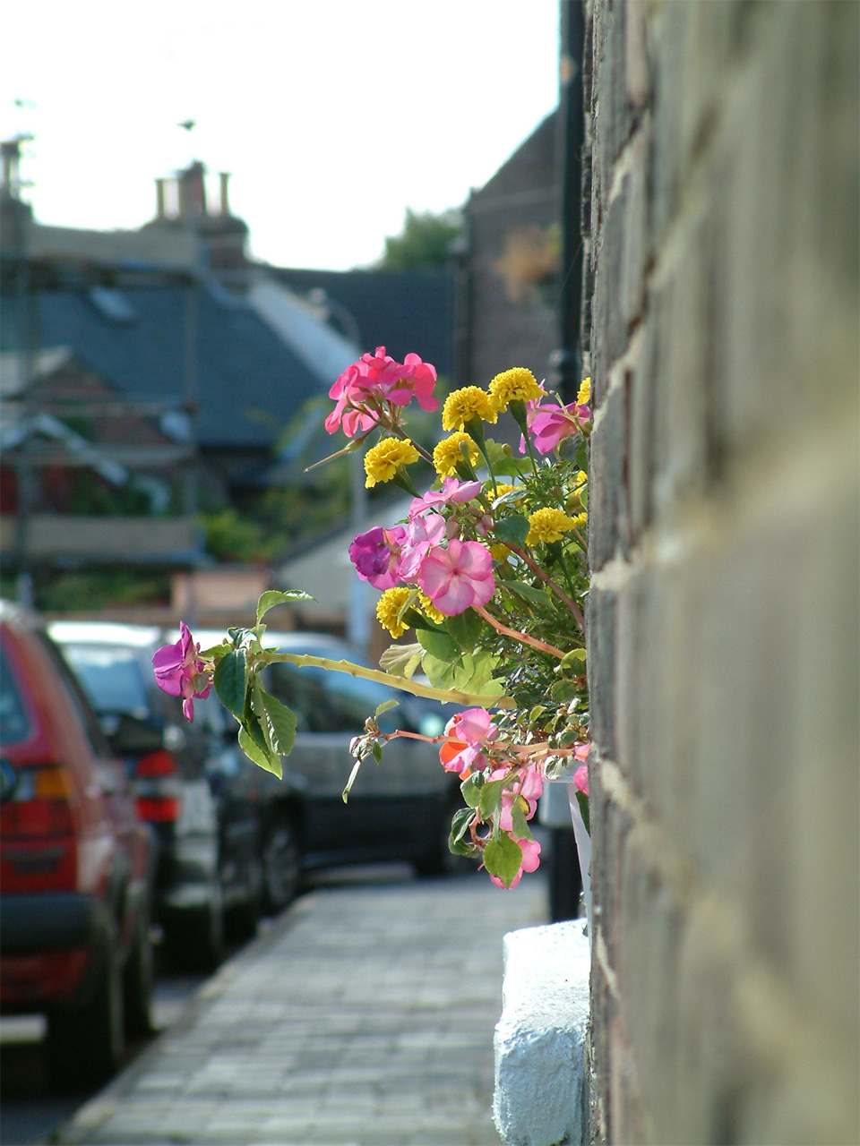 Flower Box