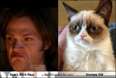 12/21/2012 Grumpy Cat Meme by RosemarieAlexandra on DeviantArt
