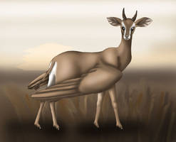 Winged Gazelle