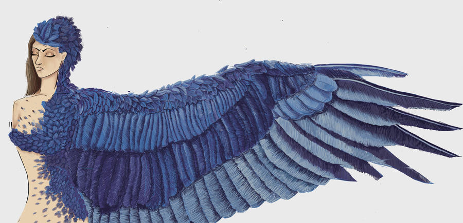 Bird Evolution Deviantart Bird Transformation by thefacetiousnerd on DeviantArt