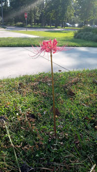 Explore the Best Stanton Art | DeviantArt