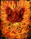 The rise of the Phoenix by Ruth-Tay