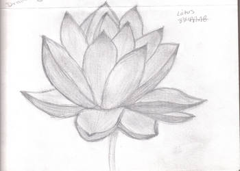 lotus