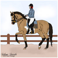 DHE Pink Dressage Silence