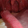 inside my wife's mouth 