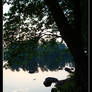 reflection