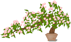 Algemene Onzin Topic - Pagina 47 Dyfcr0-27c8684b-ff34-4e2c-ac2c-5da65d99b0fc.gif?token=eyJ0eXAiOiJKV1QiLCJhbGciOiJIUzI1NiJ9.eyJzdWIiOiJ1cm46YXBwOjdlMGQxODg5ODIyNjQzNzNhNWYwZDQxNWVhMGQyNmUwIiwiaXNzIjoidXJuOmFwcDo3ZTBkMTg4OTgyMjY0MzczYTVmMGQ0MTVlYTBkMjZlMCIsIm9iaiI6W1t7InBhdGgiOiJcL2ZcL2UwNDI4N2FkLTM0Y2YtNGQ4ZS04OTAxLTJjZjE2Mzk0MmMwZVwvZHlmY3IwLTI3Yzg2ODRiLWZmMzQtNGUyYy1hYzJjLTVkYTY1ZDk5YjBmYy5naWYifV1dLCJhdWQiOlsidXJuOnNlcnZpY2U6ZmlsZS5kb3dubG9hZCJdfQ