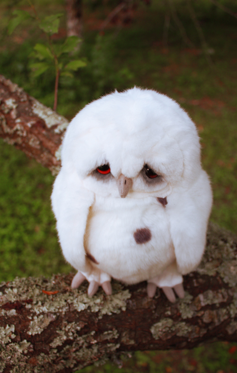 Sad Owl 3 by distasty