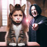 TF Cat Hermione Snape 115