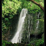 A Catlins Waterfall